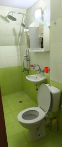 Yambolにあるапартамент CITY HOME 22のトイレと洗面台付きのバスルーム