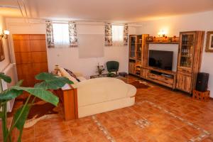 TV a/nebo společenská místnost v ubytování Relax apartma Peter
