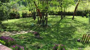 Zahrada ubytování Croft28