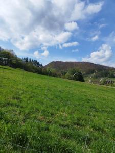 a fence in a field with a green field at Pod Bercem in Solina