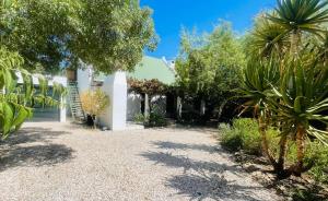 a garden with palm trees and a white building at Imagine. McGregor in McGregor
