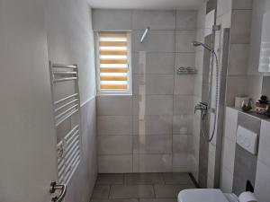 a bathroom with a shower and a toilet at Ostseefalter 1 in Graal-Müritz