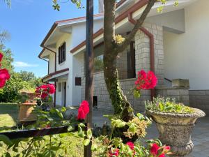 Fotografie z fotogalerie ubytování Villa Anna v Terstu