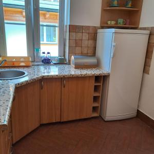 Kuchyňa alebo kuchynka v ubytovaní Willa Mewa