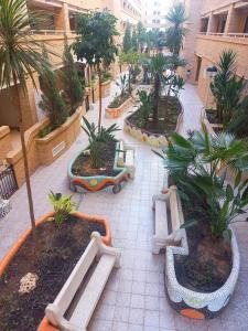 Ein Garten an der Unterkunft Costa Azahar II Nº 1041