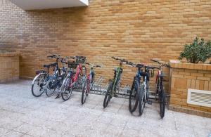Radfahren an der Unterkunft Costa Azahar II Nº 1041 oder in der Nähe