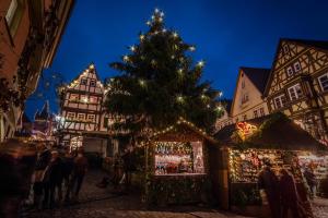 Foto dalla galleria di Gästehaus Fernblick a Bad Wimpfen