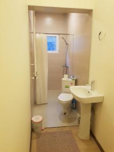 La salle de bains est pourvue de toilettes et d'un lavabo. dans l'établissement Tkhibuli geust house, à Tqibuli