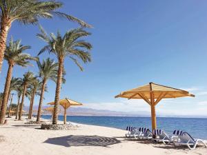 a beach with chairs and umbrellas and palm trees at Movenpick Taba Resort & Spa in Taba