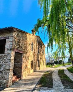un vecchio edificio in pietra con un albero che lo sovrasta di B&B Nel Vigneto a Castelplanio