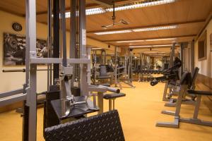 einen Fitnessraum mit mehreren Reihen Laufbändern in der Unterkunft Hotel Stubai in Schönberg im Stubaital