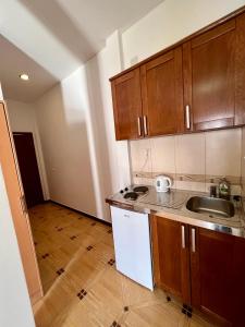Kuchyň nebo kuchyňský kout v ubytování Guesthouse Civovic