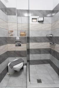 uma casa de banho com um WC e uma cabina de duche em vidro. em Anastasia Studios Hanioti em Hanioti