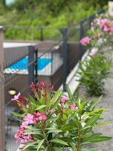 una planta con flores rosas delante de una valla en Residence Spa Apartments DUB en Kotor