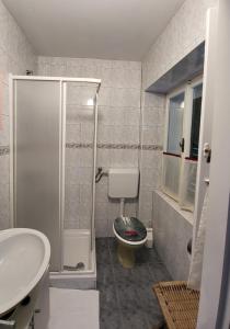een badkamer met een toilet, een wastafel en een douche bij Apartmani Mira in Rab