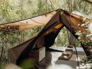 Fotografie z fotogalerie ubytování Firefly Falls v destinaci Plettenberg Bay