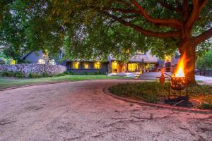 a driveway in front of a house with a tree at Festina Lente Guesthouse in Johannesburg