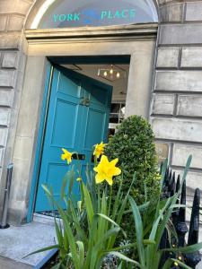 una porta blu con fiori gialli davanti di 28 York Place Hotel a Edimburgo