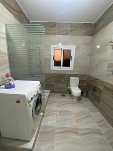 a bathroom with a washing machine and a toilet at Nile Ruby Luxor in Luxor +31 photos