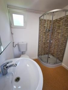 a bathroom with a toilet and a sink and a shower at Epic Glamping in Călimăneşti