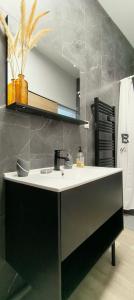 ein Bad mit einem Waschbecken und einem Spiegel in der Unterkunft - Meublés de Beaulieu cœur de ville - in Angoulême