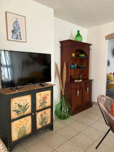 TV a/nebo společenská místnost v ubytování Casa Violetta