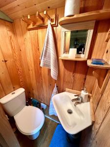 a bathroom with a toilet and a sink at Old Shep's Shepherds Hut 