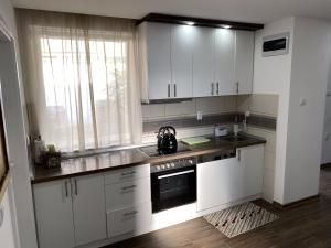 Kuchyň nebo kuchyňský kout v ubytování Smokvica apartman