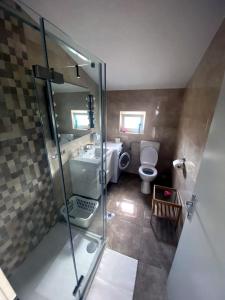 ein Bad mit einer Dusche, einem WC und einem Waschbecken in der Unterkunft APARTMANI GOGA s grijanim bazenom in Dobropoljana