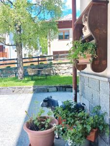 A garden outside Casa della Nonna