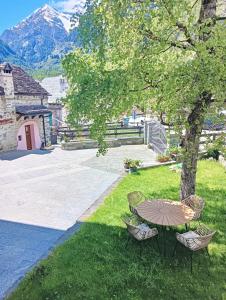Táj Show holiday homes közelében