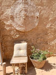 una sedia in legno seduta accanto a un muro con una pianta di Tanirt ecolodge a Siwa