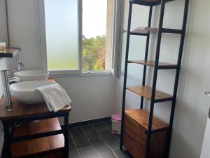 a bathroom with a sink and a shelf next to a window at Les hyacinthes 6 in Sarlat-la-Canéda
