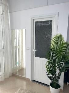 Fotografie z fotogalerie ubytování Berat Central Studio v destinaci Berat