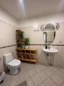 里加Old Town Apartment with Sauna的浴室里有马桶、洗手池和镜子。 更多11张照片