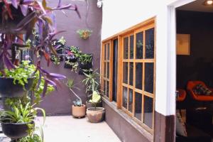 a room with potted plants on the side of a building at Espacioso moderno y bien ubicado in Oaxaca City