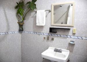 a bathroom with a sink and a mirror at Espacioso moderno y bien ubicado in Oaxaca City +13 photos