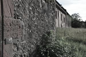 Fotografie z fotogalerie ubytování Wein- und Sekthaus F.B.Schönleber v destinaci Oestrich-Winkel