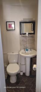 łazienka z toaletą i umywalką w obiekcie 29 Well Street B&B w mieście Moffat