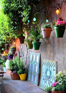 a bunch of potted plants on a wall with lights at El Portal Sedona Hotel in Sedona