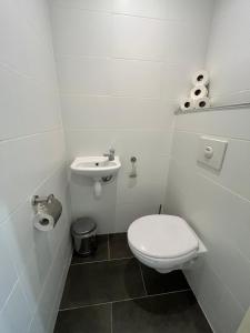 a small bathroom with a toilet and a sink at Vakantiebungalow Ruiterplaat in Kamperland +18 photos