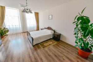 a bedroom with a bed and a potted plant at Le Petit Paris in Cluj-Napoca