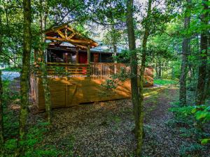 una cabina in legno in mezzo al bosco di The Big Little Cabin - Hot Tub & Playground a Dahlonega