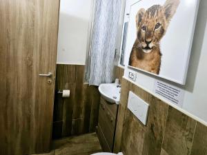 Salle de bains dans l'établissement Affittacamere House LeoMar di Sara