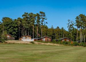 un gran campo de césped con casas en el fondo en Percy Wood Country Park en Morpeth