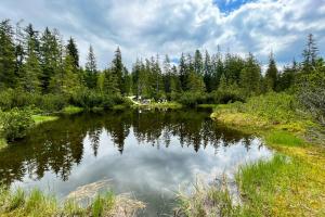 Przyroda w pobliżu tego obiektu B&B