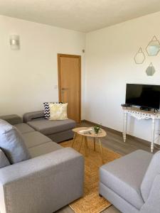 a living room with a couch and a tv at Quinta do Miradouro in Portalegre