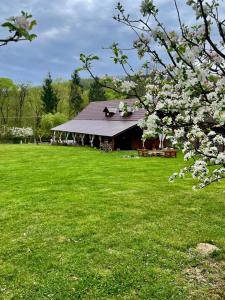 a barn in a field with a flowering tree at Cabana Oana 5-bedrooms chalet in Arad
