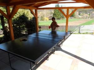 a ping pong table under a gazebo at Ferienhaus in Zebegény mit Garten und Grill in Zebegény