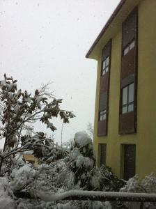 une maison enneigée avec un arbre et un bâtiment dans l'établissement Mirasierra, à Bustarviejo